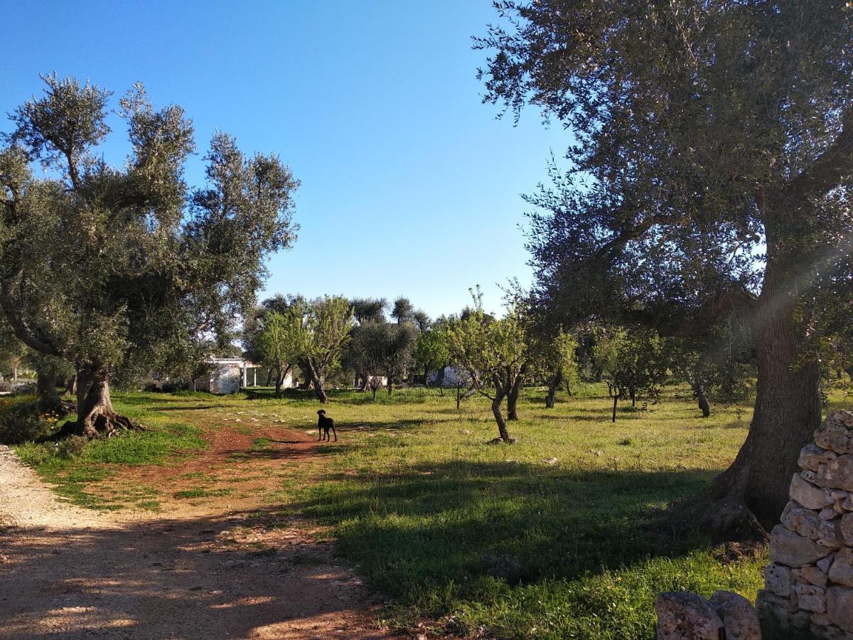 Piccolo Trullo Ostunese Le Jardin De Sophie' 奥斯图尼 外观 照片