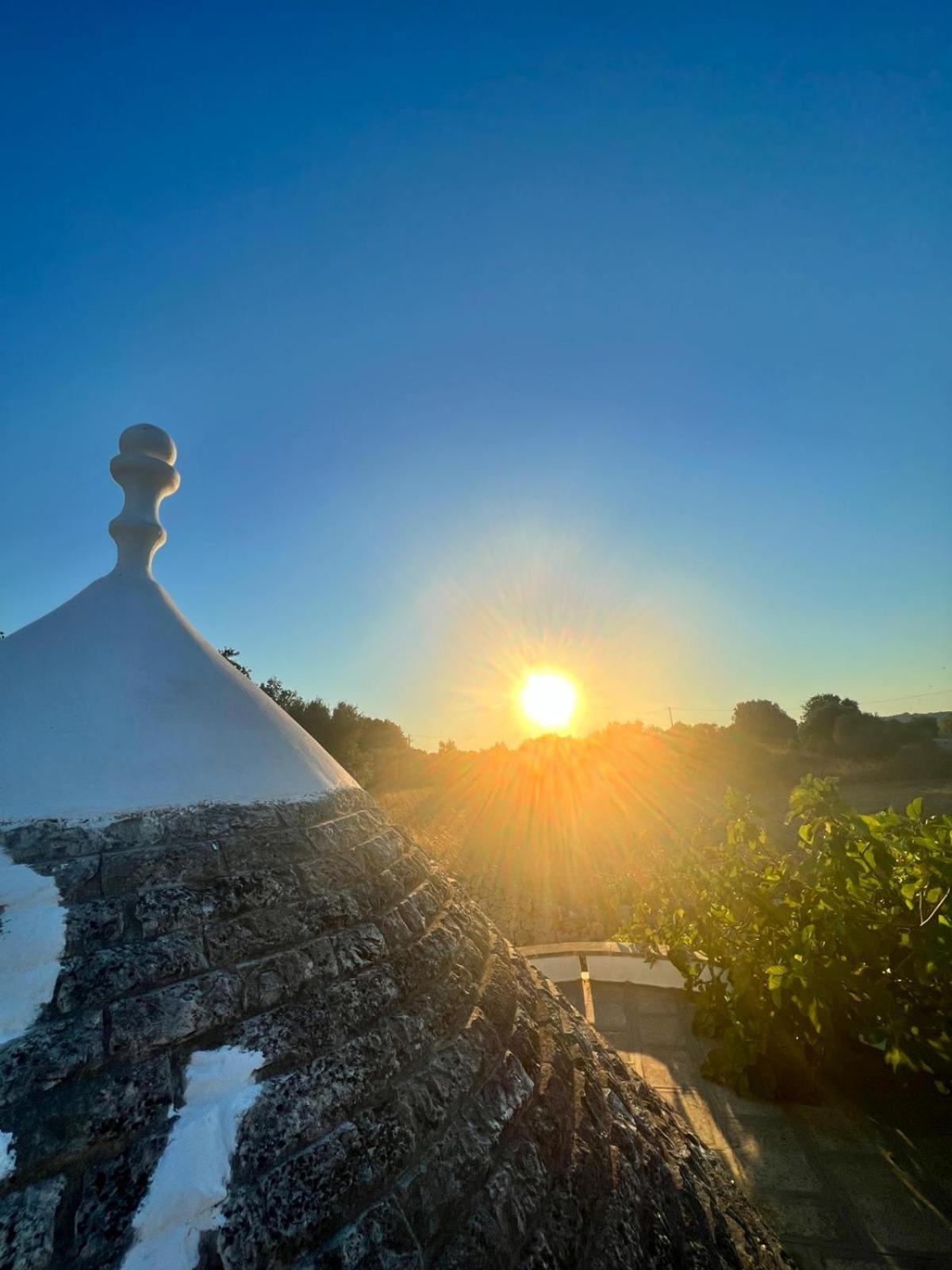 Piccolo Trullo Ostunese Le Jardin De Sophie' 奥斯图尼 外观 照片