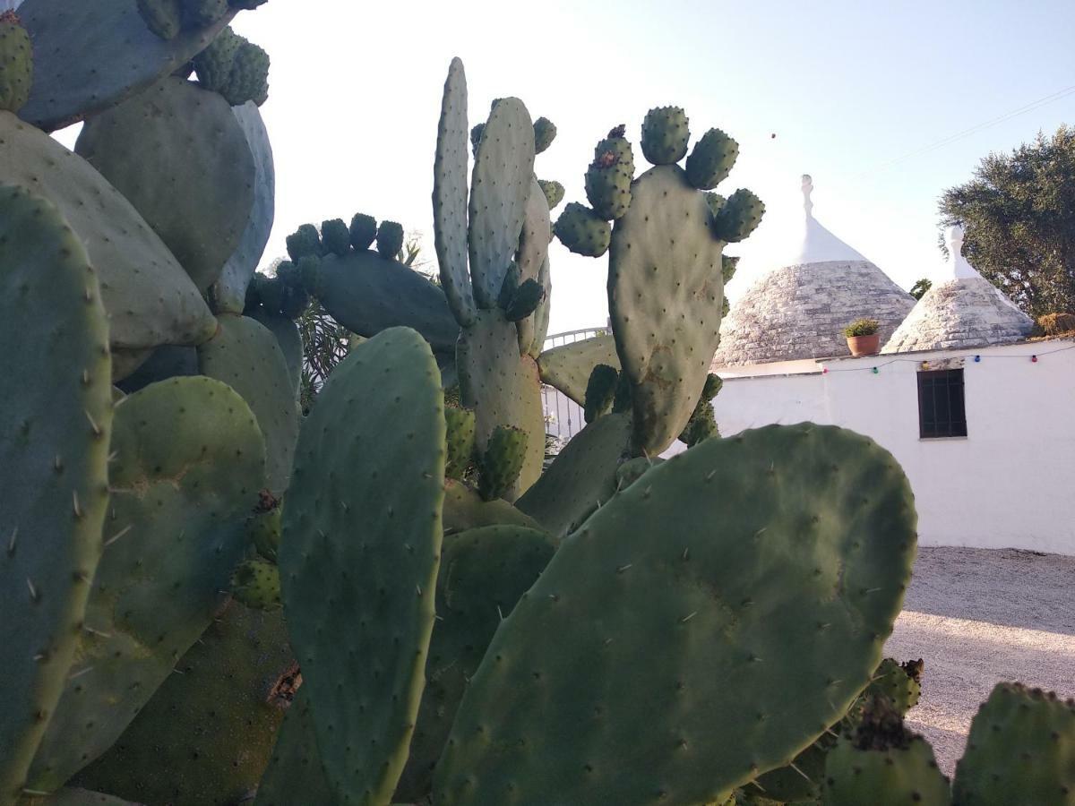 Piccolo Trullo Ostunese Le Jardin De Sophie' 奥斯图尼 外观 照片
