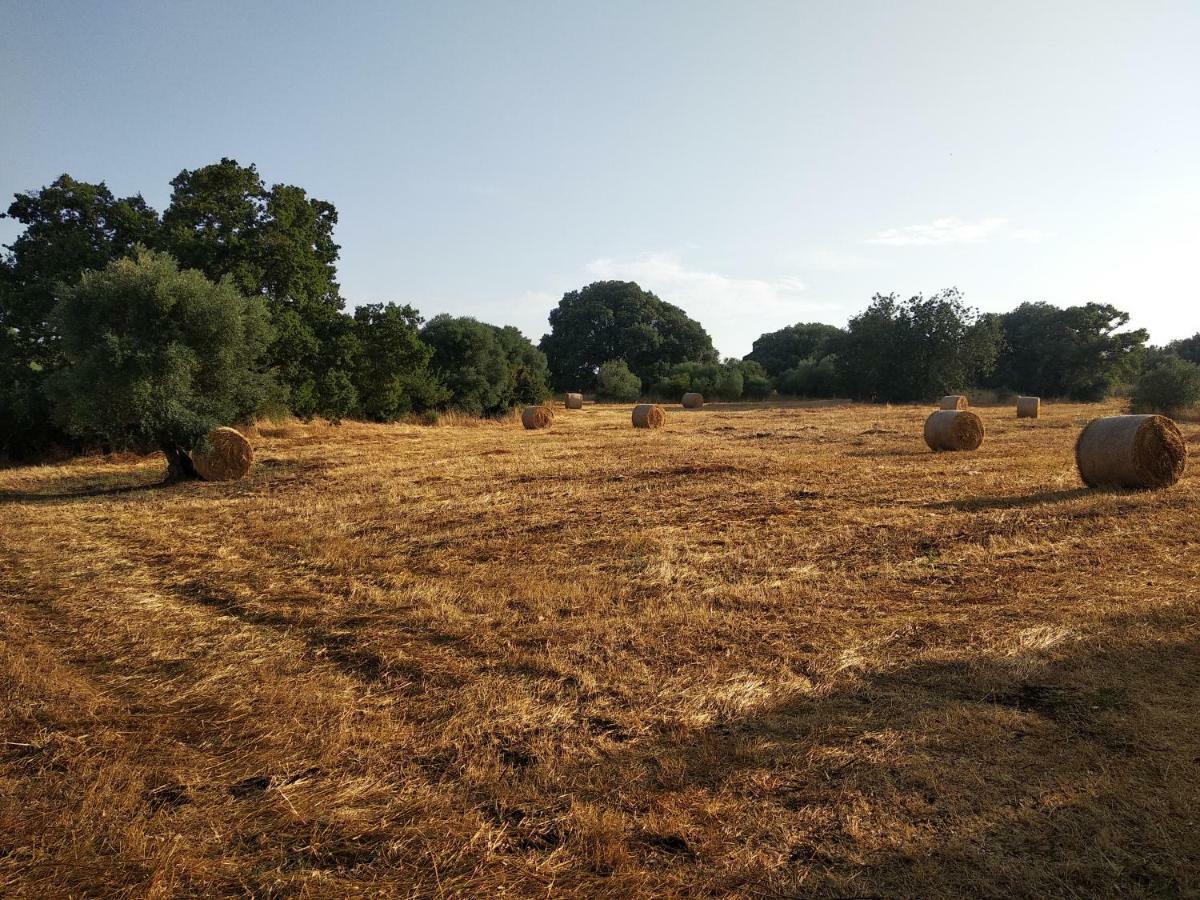 Piccolo Trullo Ostunese Le Jardin De Sophie' 奥斯图尼 外观 照片